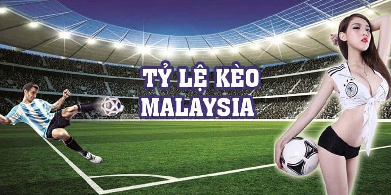 Tỷ lệ kèo Malaysia - Hướng dẫn chi tiết cho người mới bắt đầu trong việc cá cược