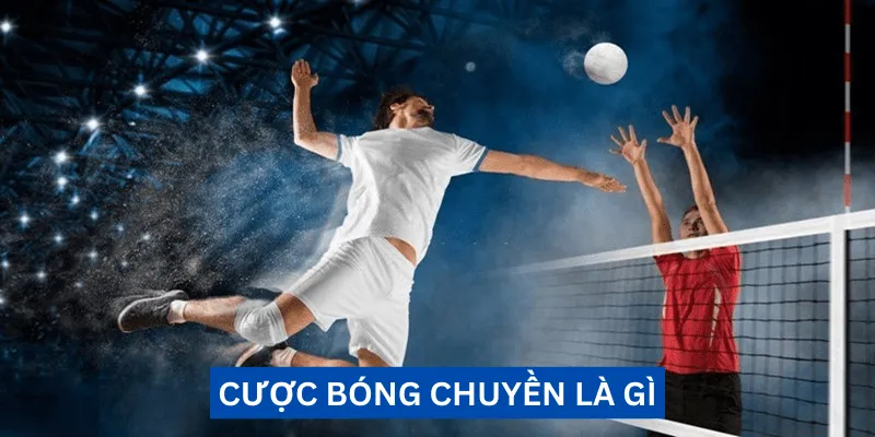 Cá cược bóng chuyền tại M88 M Thể Thao