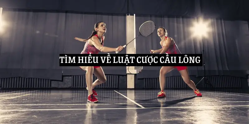 Luật Cá Cược Cầu Lông Tại M88 M Thể Thao